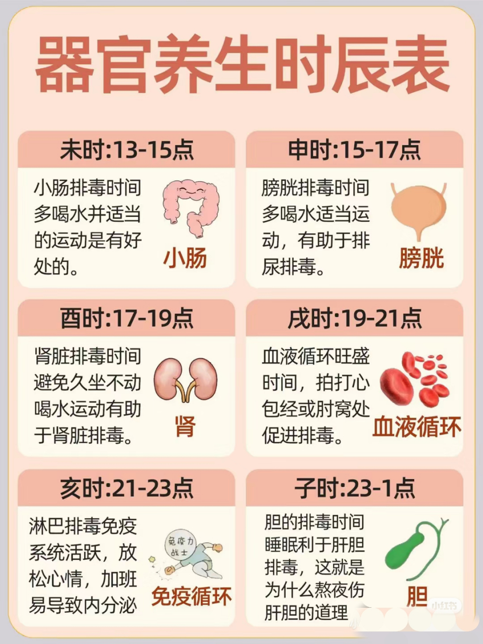 二十四时辰排毒时间表图片