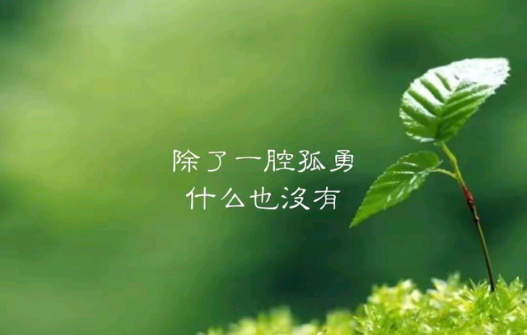 费尽心机换来的爱情,终究是一场空