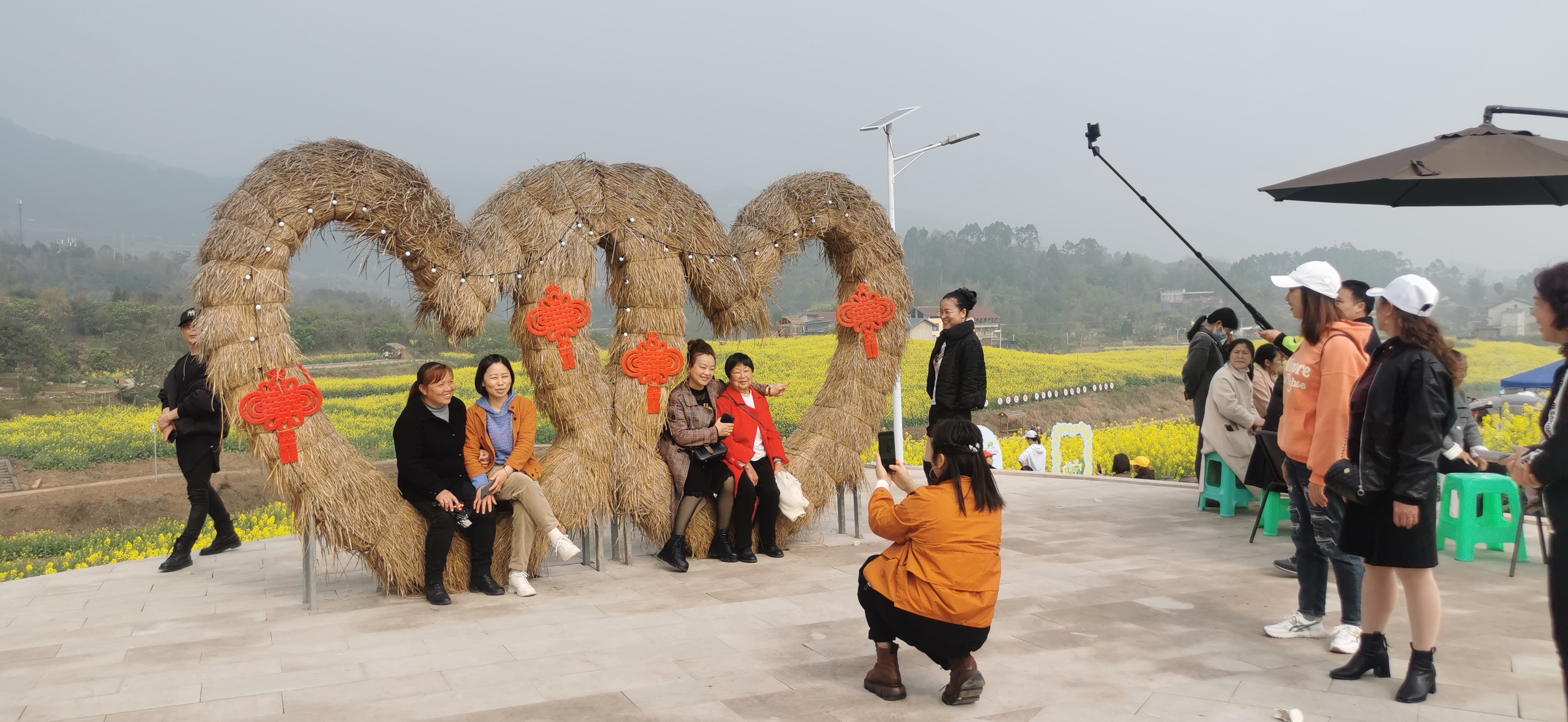 铜梁油菜花图片