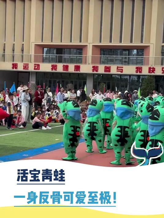 活宝青蛙 一身反骨可爱至极!(打鱼晒网)