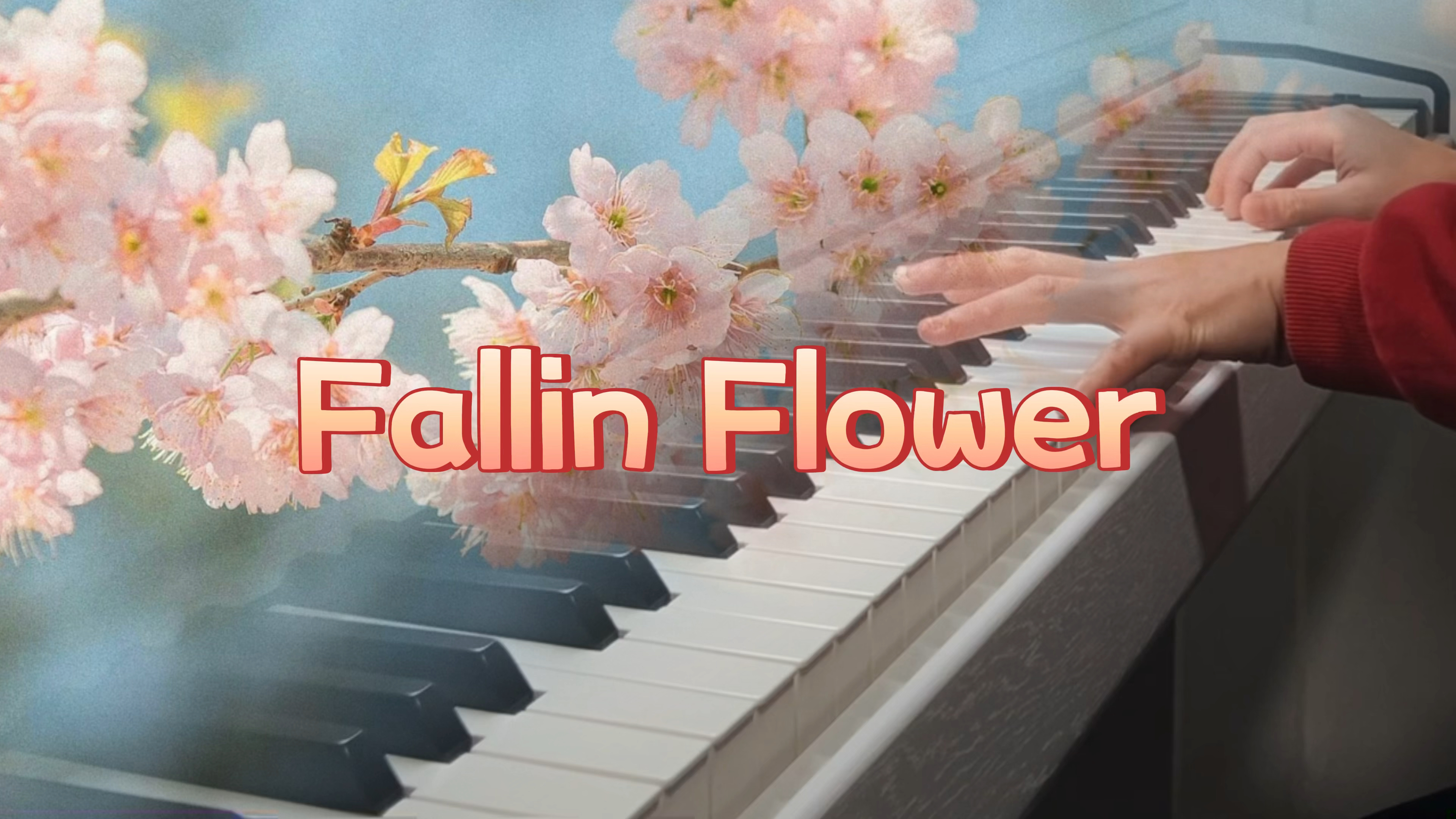 [图]《Fallin Flower》钢琴弹奏｜听起来像一场浪漫的双向奔赴