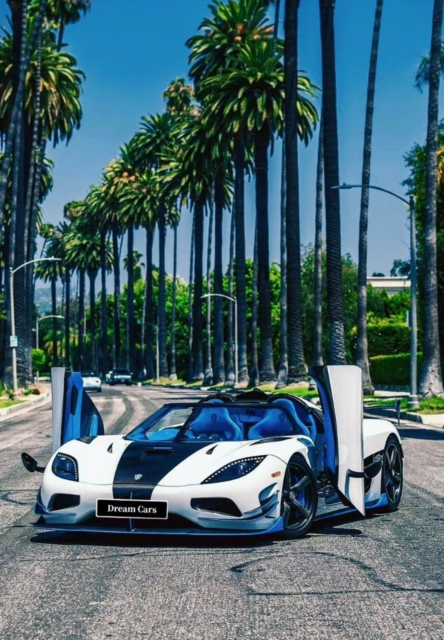 888_1280竖版 竖屏