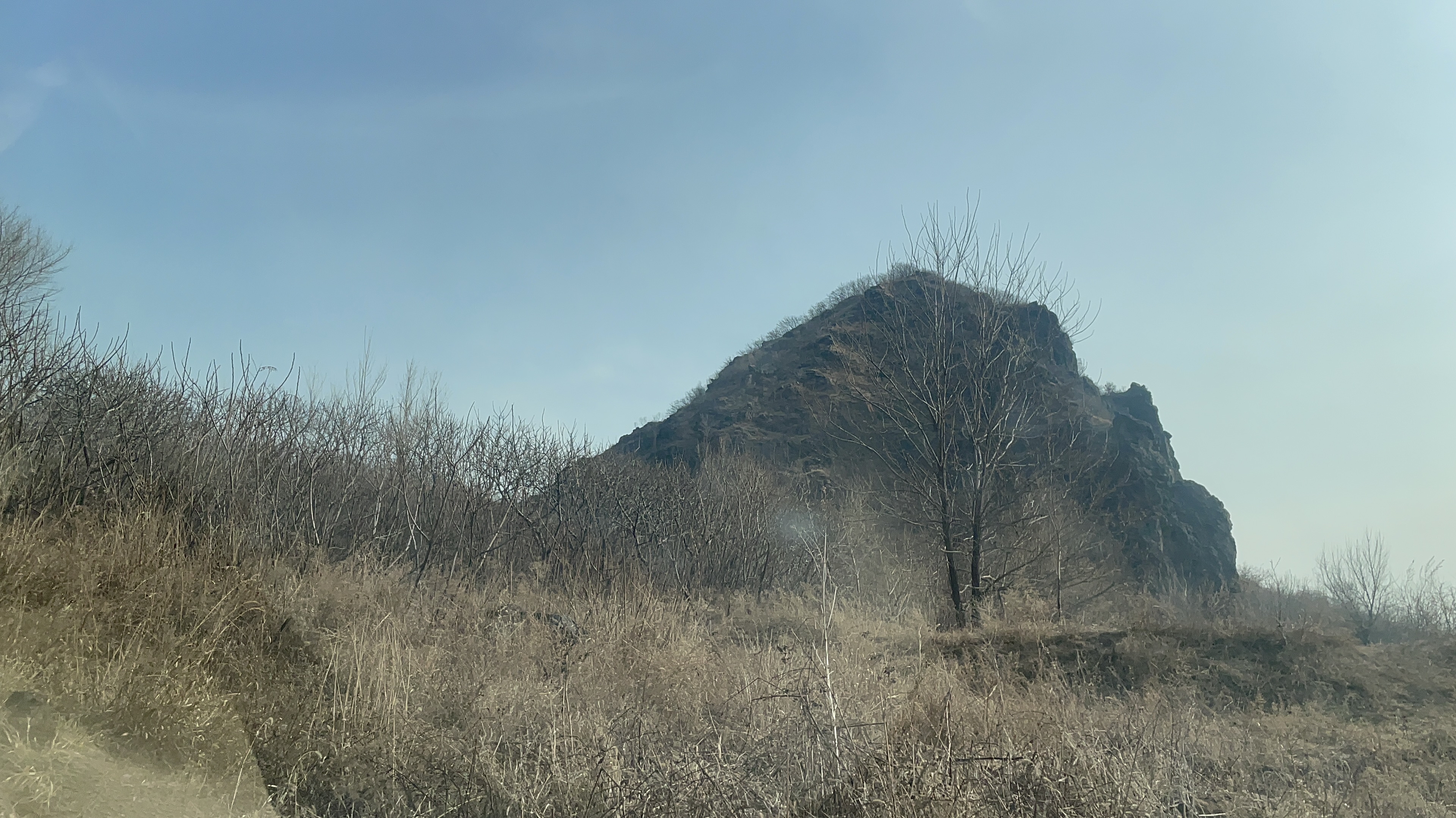 鞍山骆驼山公园图片