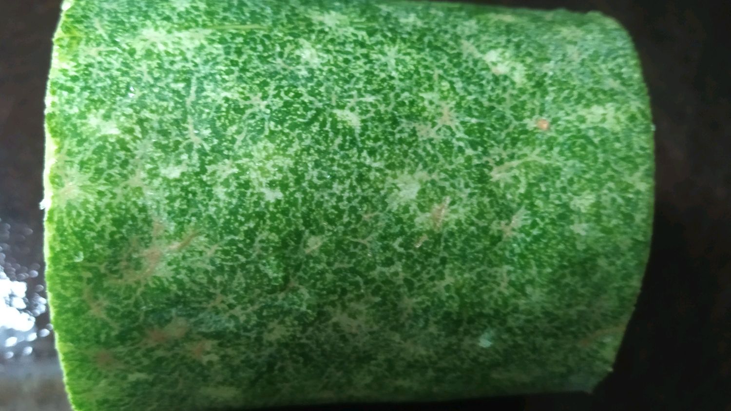 夏天多吃毛节瓜,鸡杂虾米炒节瓜,清淡鲜香做法简单,好吃又下饭