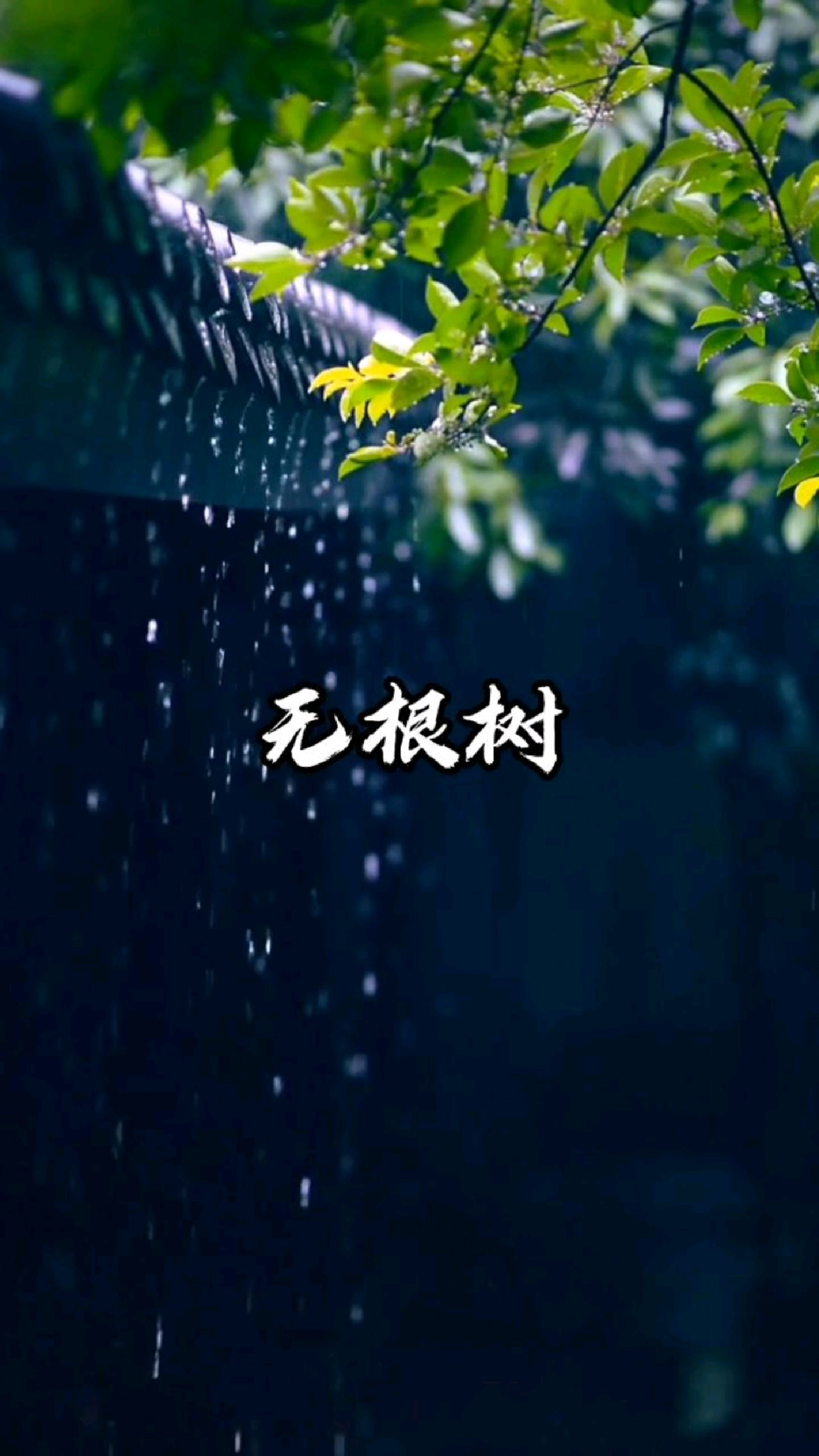 无根树,花正幽,贪恋红尘谁肯休?