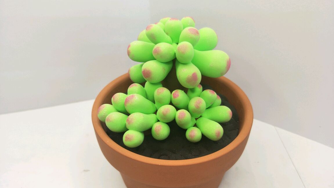 治愈系的多肉植物制作步骤来了!喜欢也可以自己做哦,超级简单!