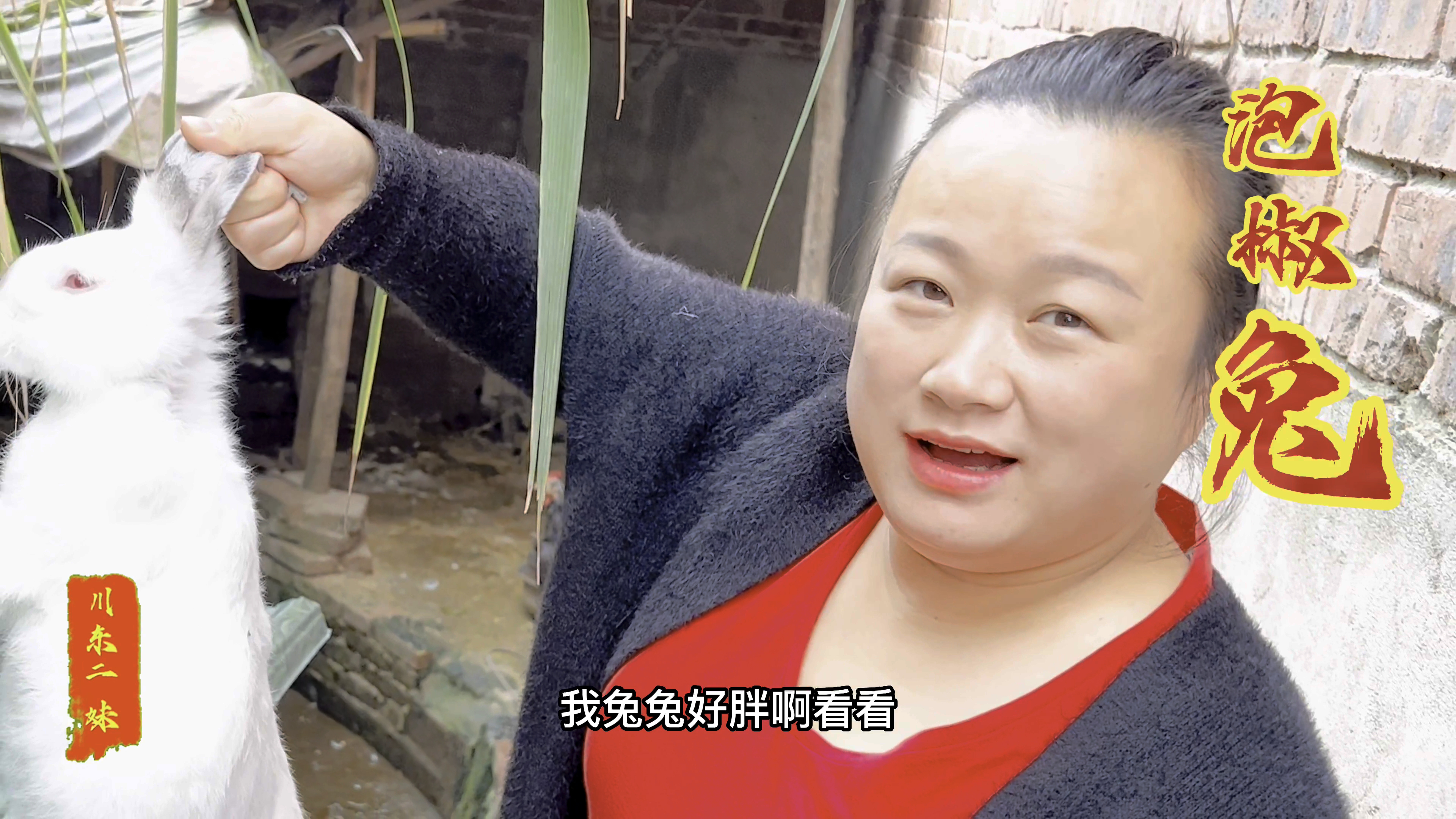 二妹把3斤多的兔子做成家常菜,泡椒兔,看得口水都流出来了