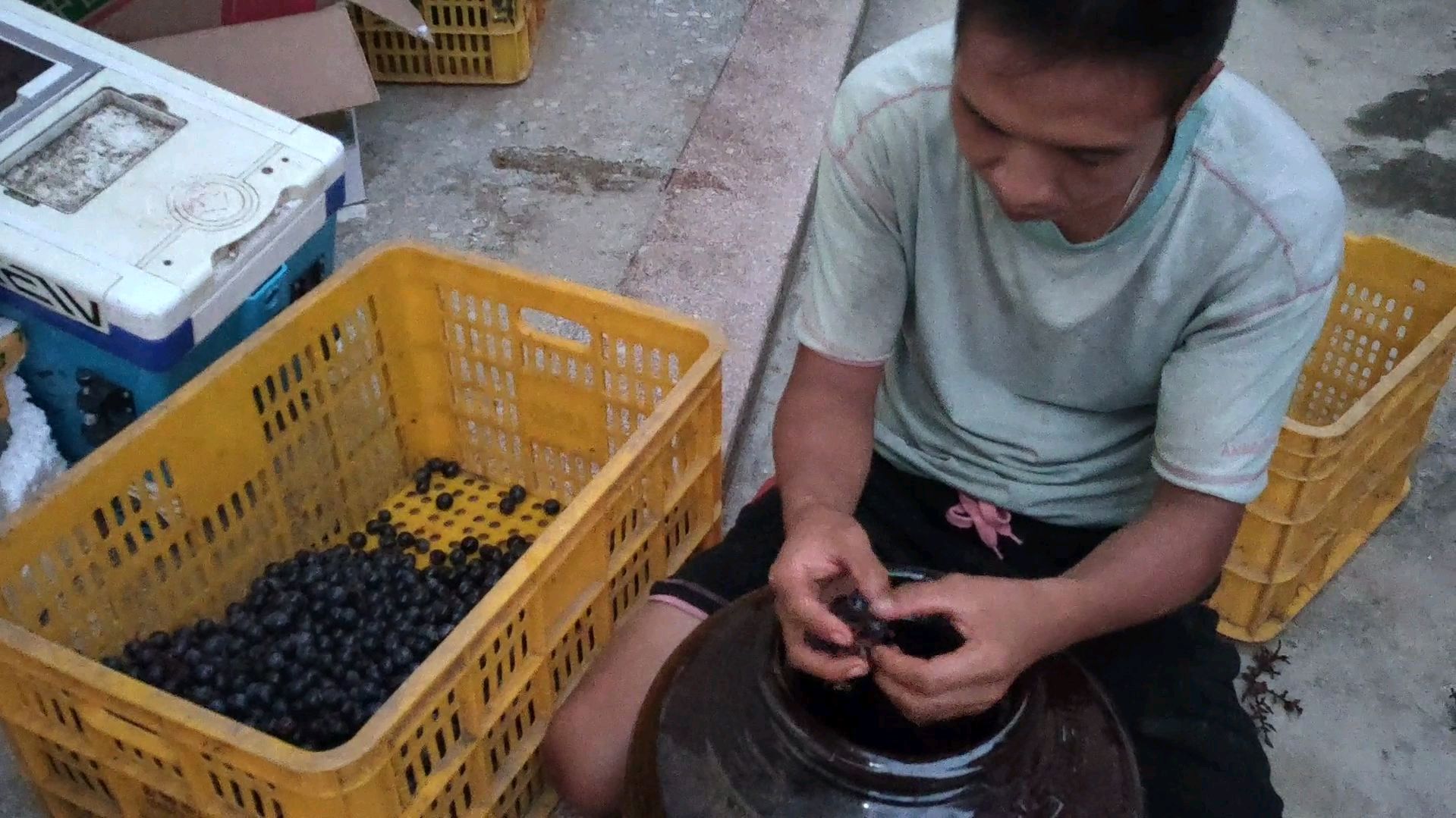 在广西泡山葡萄酒的人越来越多,过来学习泡个百斤拿回湖南娘家喝