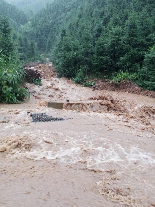 真正的泥石流你见过吗,这样的情况发生了,你知道如何应对?