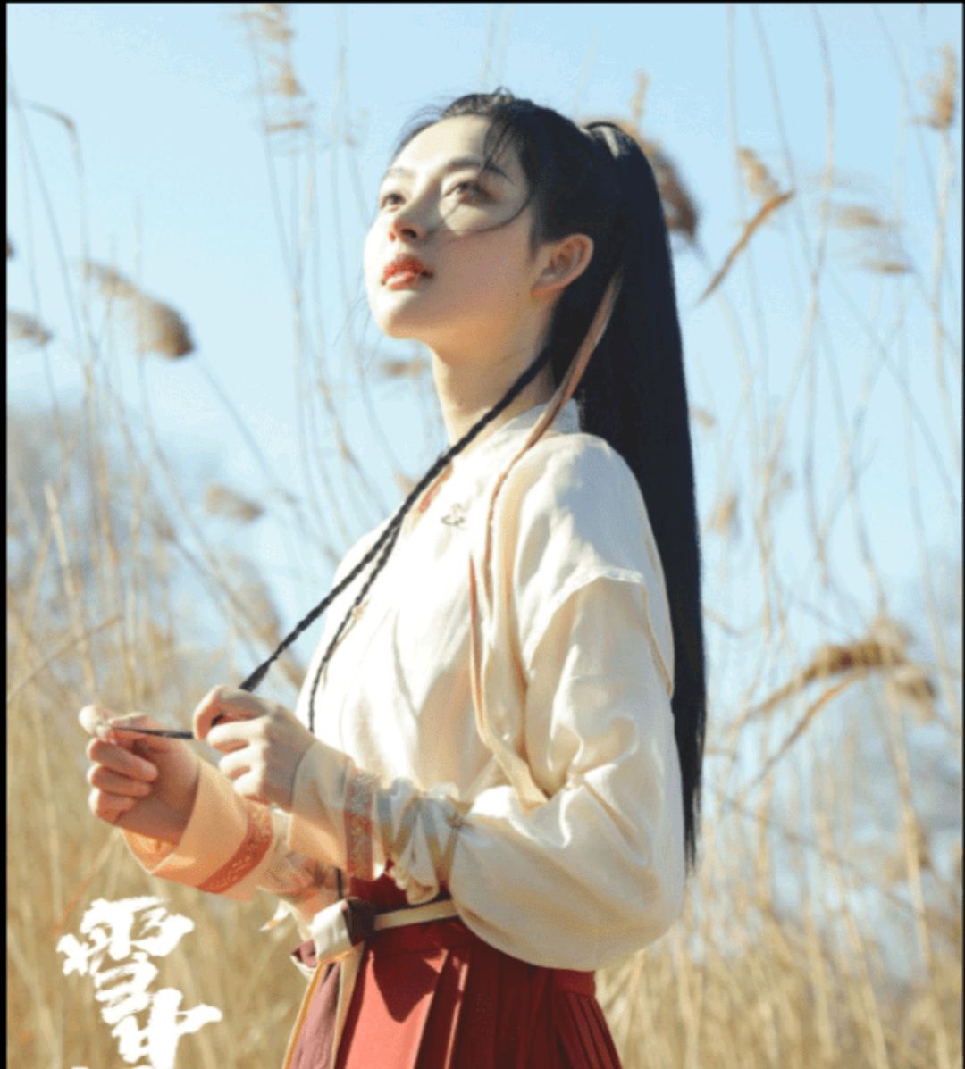 拒北城外敛忠骨,呵呵一笑动江湖——雪中篇之"呵呵姑娘"贾嘉佳