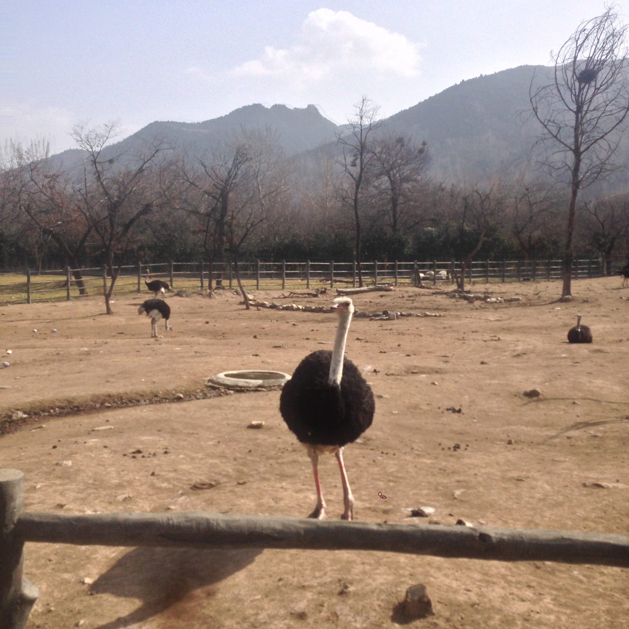 少华集团董事长高海军高董参观西安市古城墙 少华集团董事长高海军高