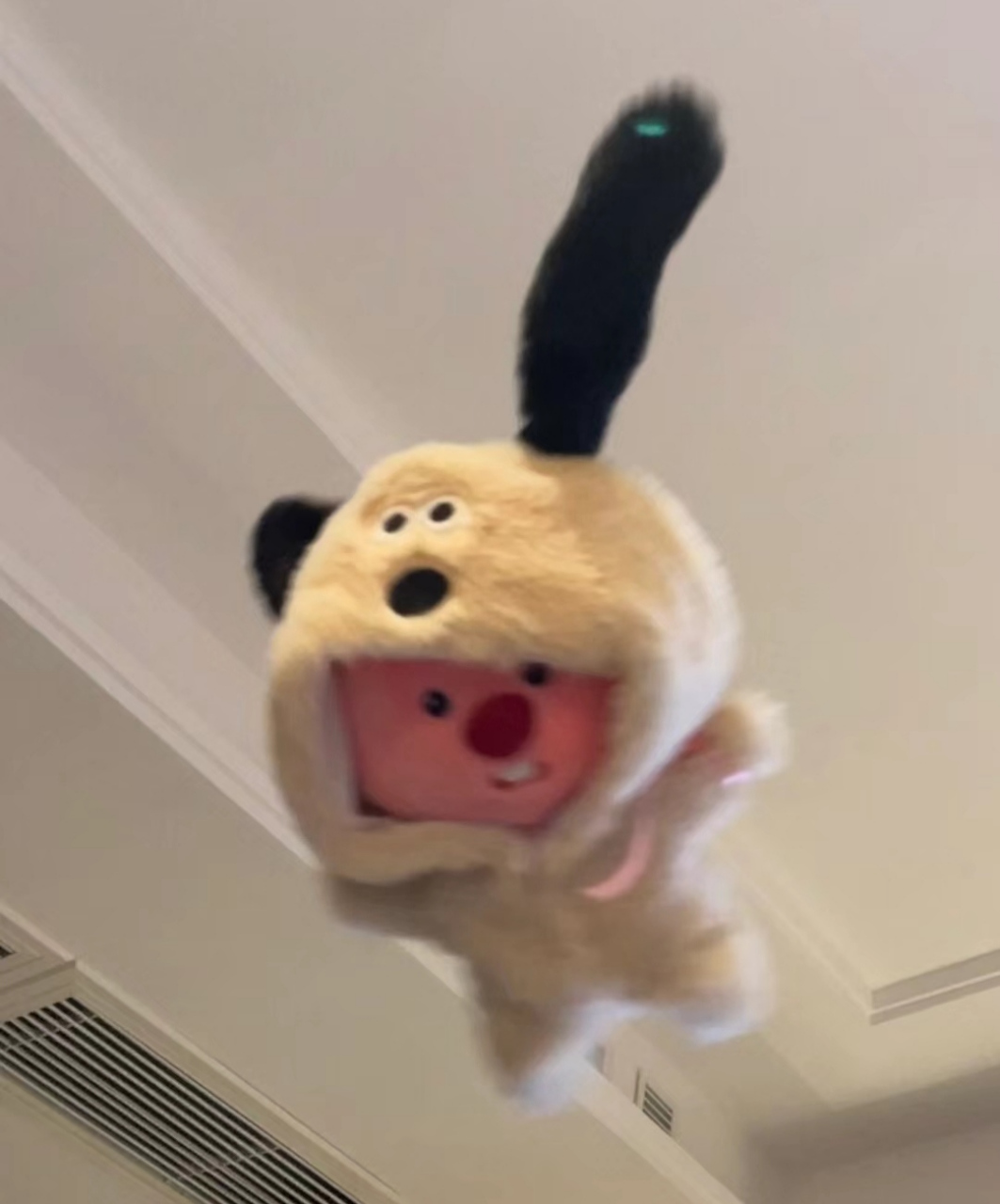 好喜欢loopy啊 请送我一个 陌生人哈哈哈哈 #治愈# #柒亓碎碎念# #情