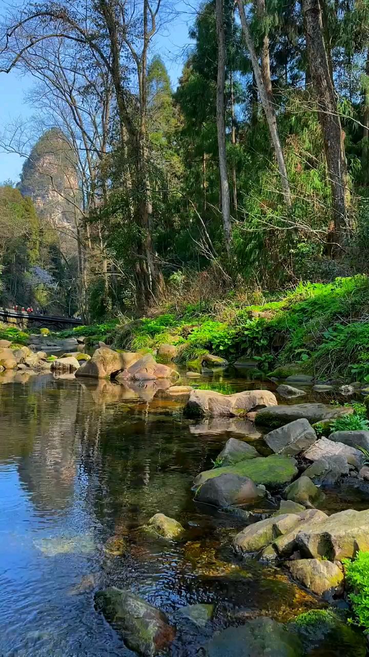 独坐溪边任水流 妄想烦恼管它涌 动极生静湖镜平 清水攸悠心自空