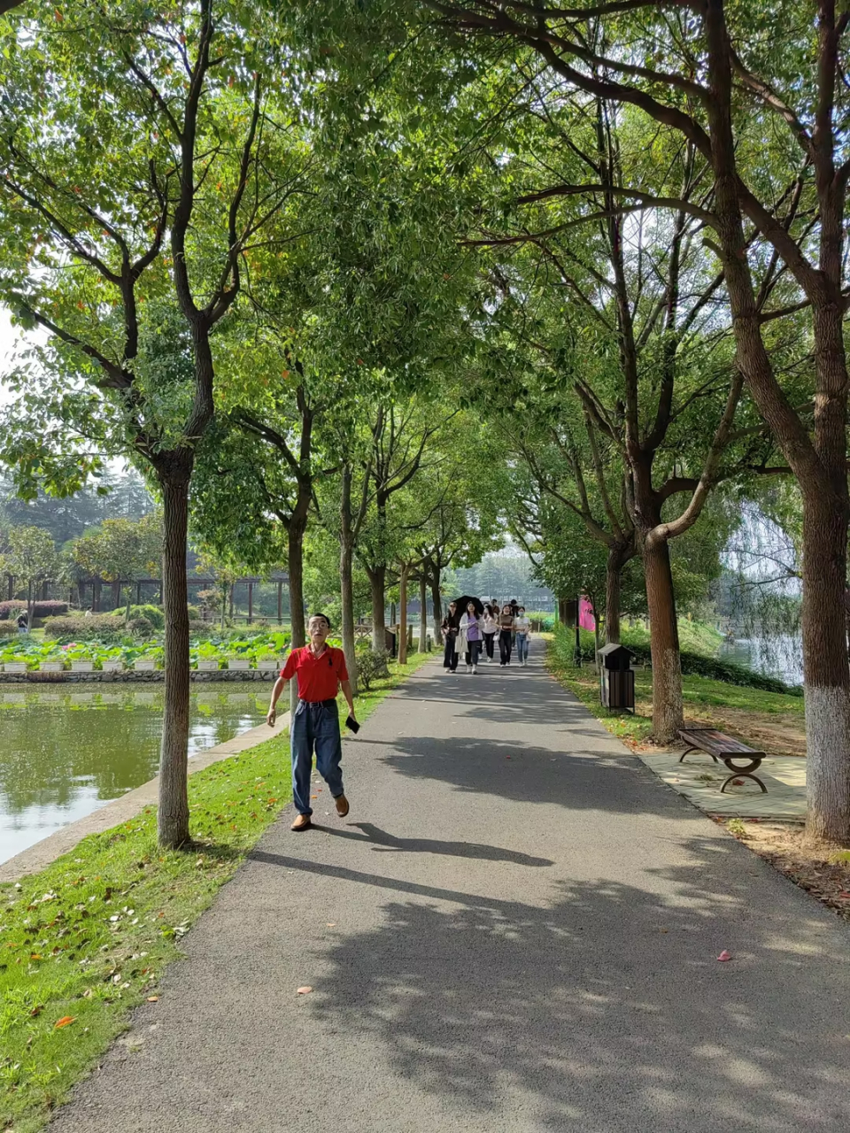 我的旅行日记# 南京江宁百果园,体验感觉一般.