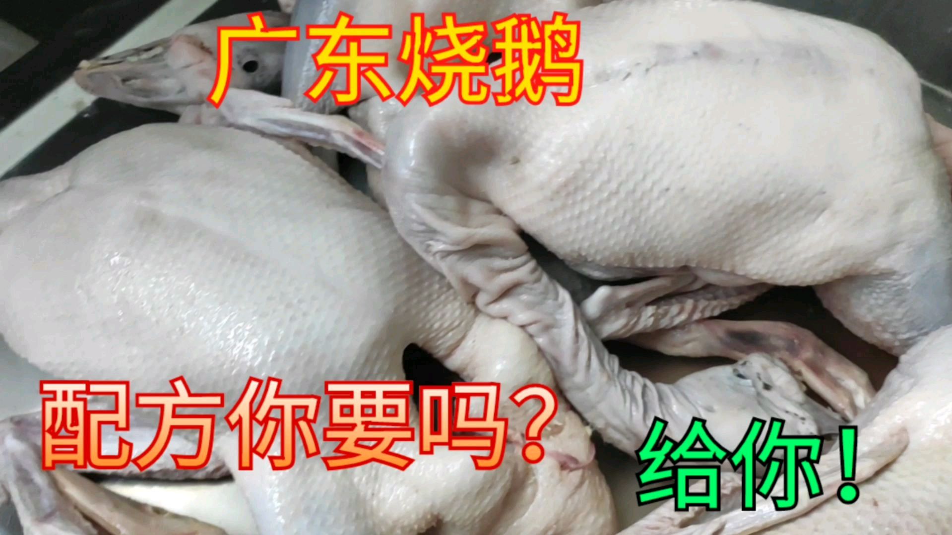 广东烧鹅烧鸭系列(2)看老熊如何清洗鸭鹅,解冻时摆放也很重要