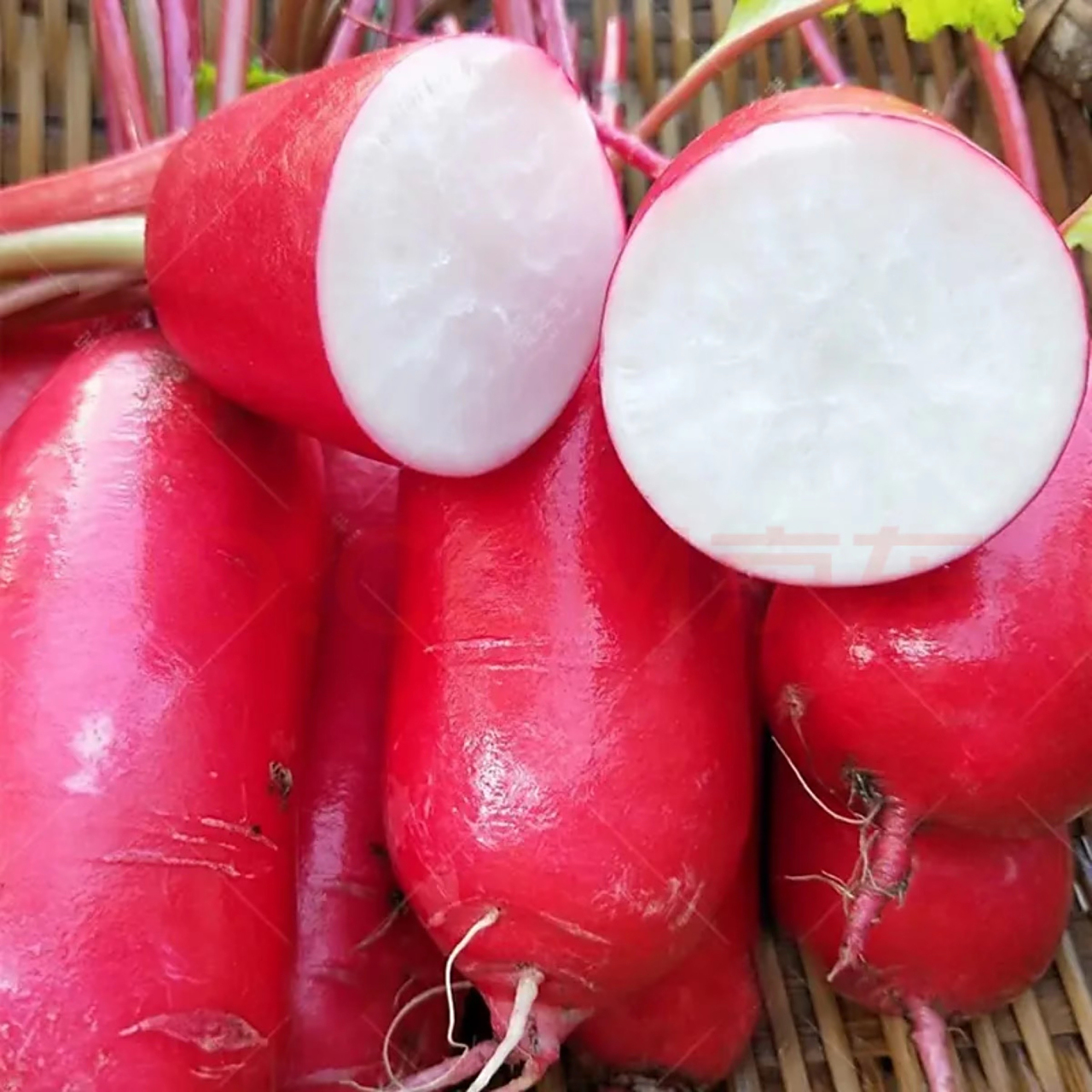 红萝卜有哪些功效和作用呢  大红萝卜可是东北地区的特产呢,我们东北