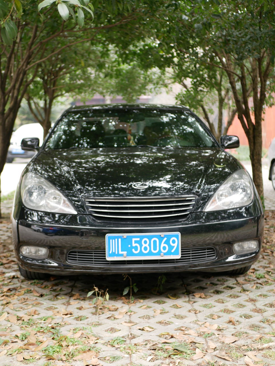 这么多年依然靓 路遇一台雷克萨斯es330,查了下2005款,v6,3
