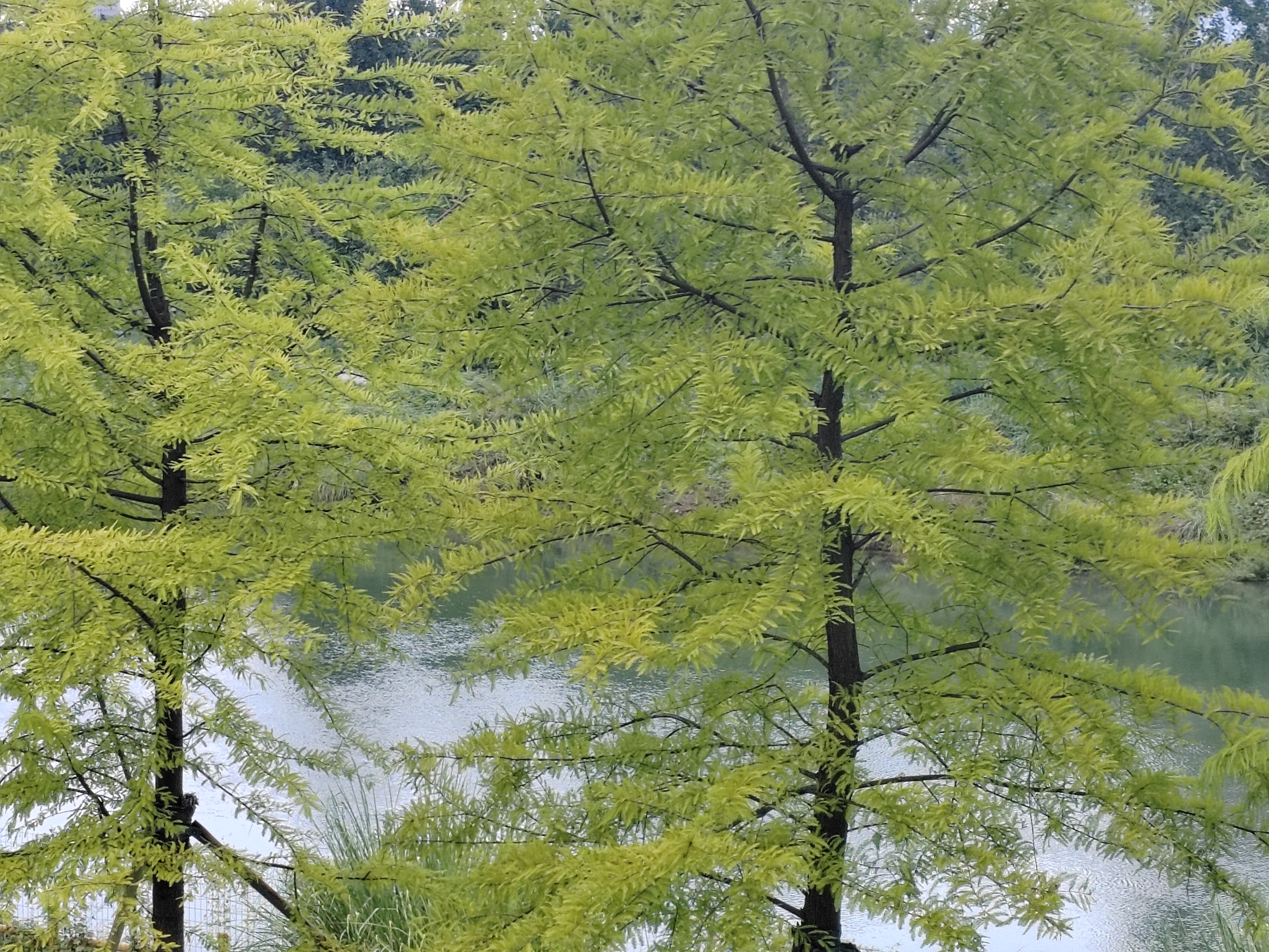 自然之美:山峦若隐若现,宛如画卷