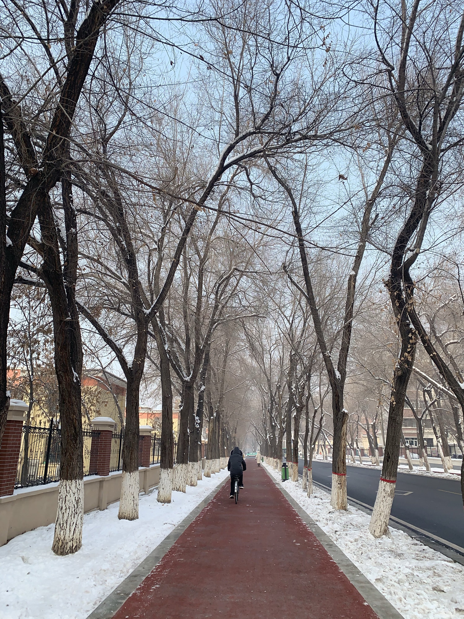 我的家乡冬季街景随拍