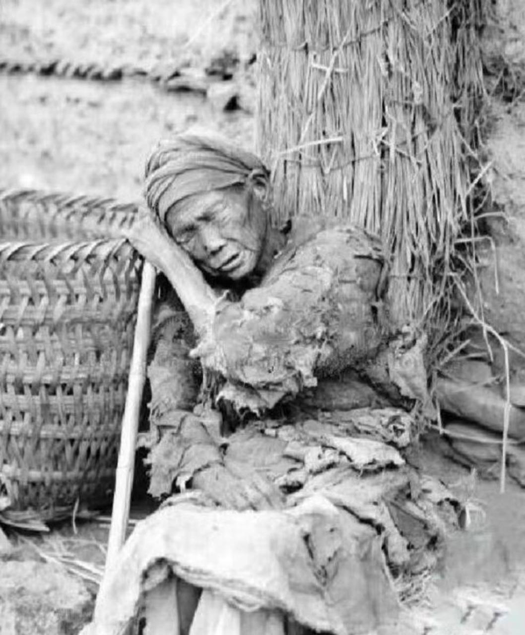 1929年,我国陕西发生了一次严重的大饥荒,导致到处都是流离失所的灾民