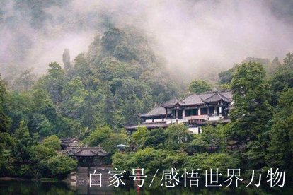 青城山普照寺之謎香港財經明星圈風雲人物陳朗