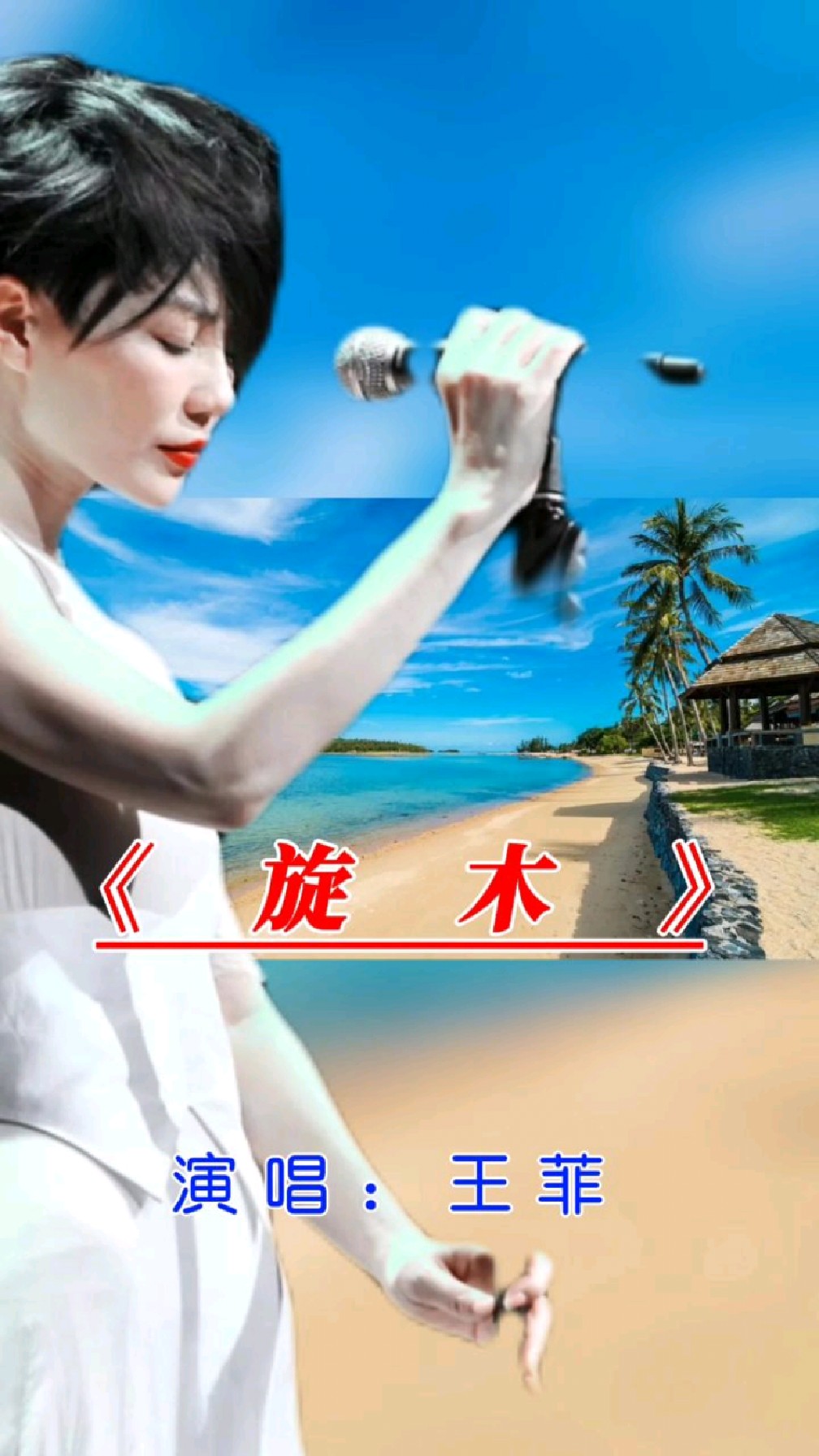 王菲演唱经典歌曲《旋木》