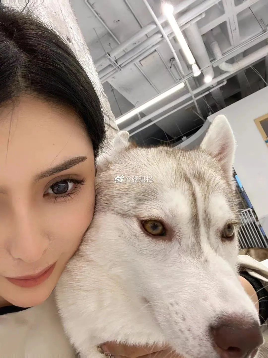 斗鱼三骚之一的张琪格视频被曝？发文澄清：这次一定不会放过造谣者！插图4
