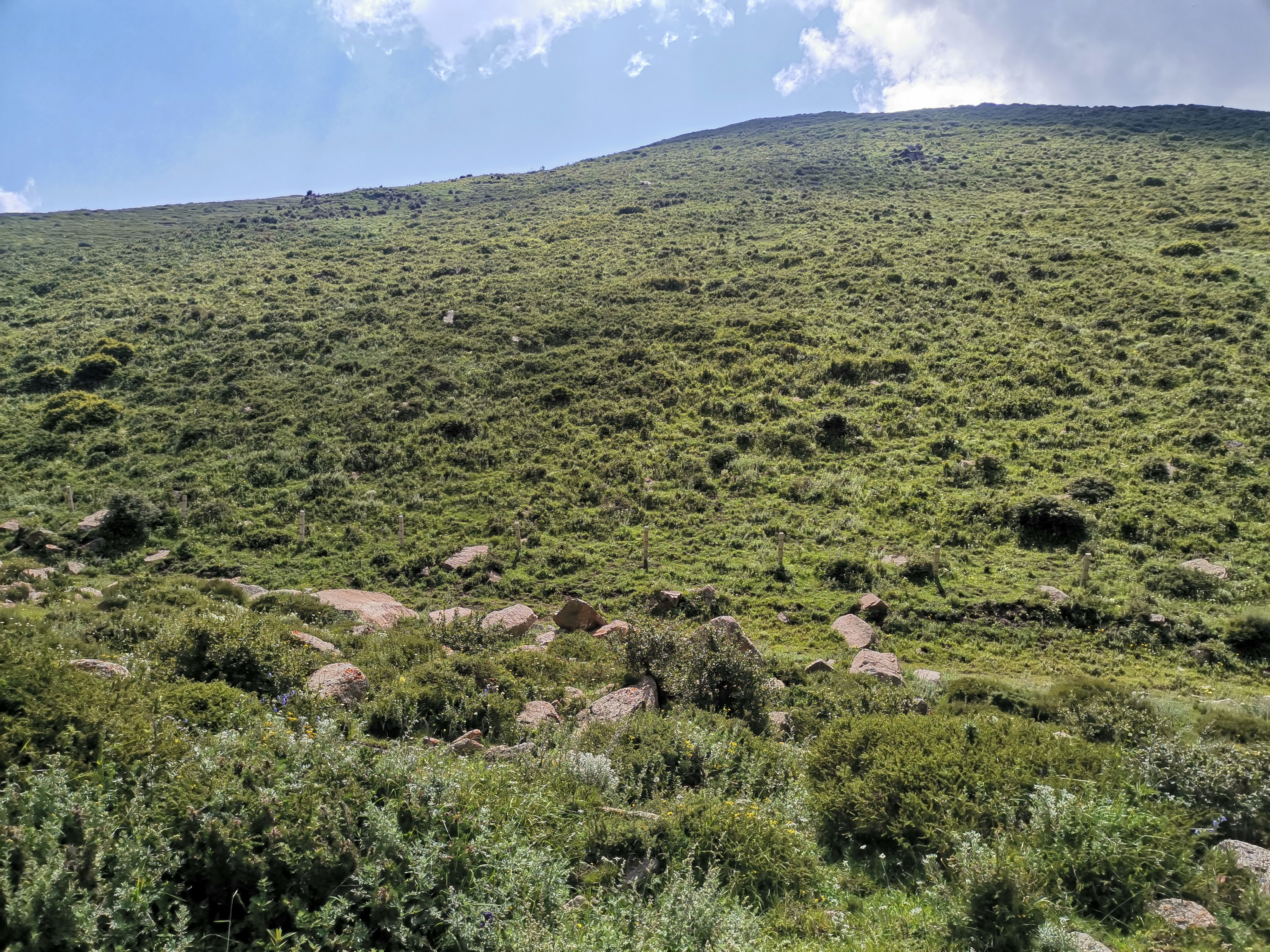 兰州马衔山风景区图片