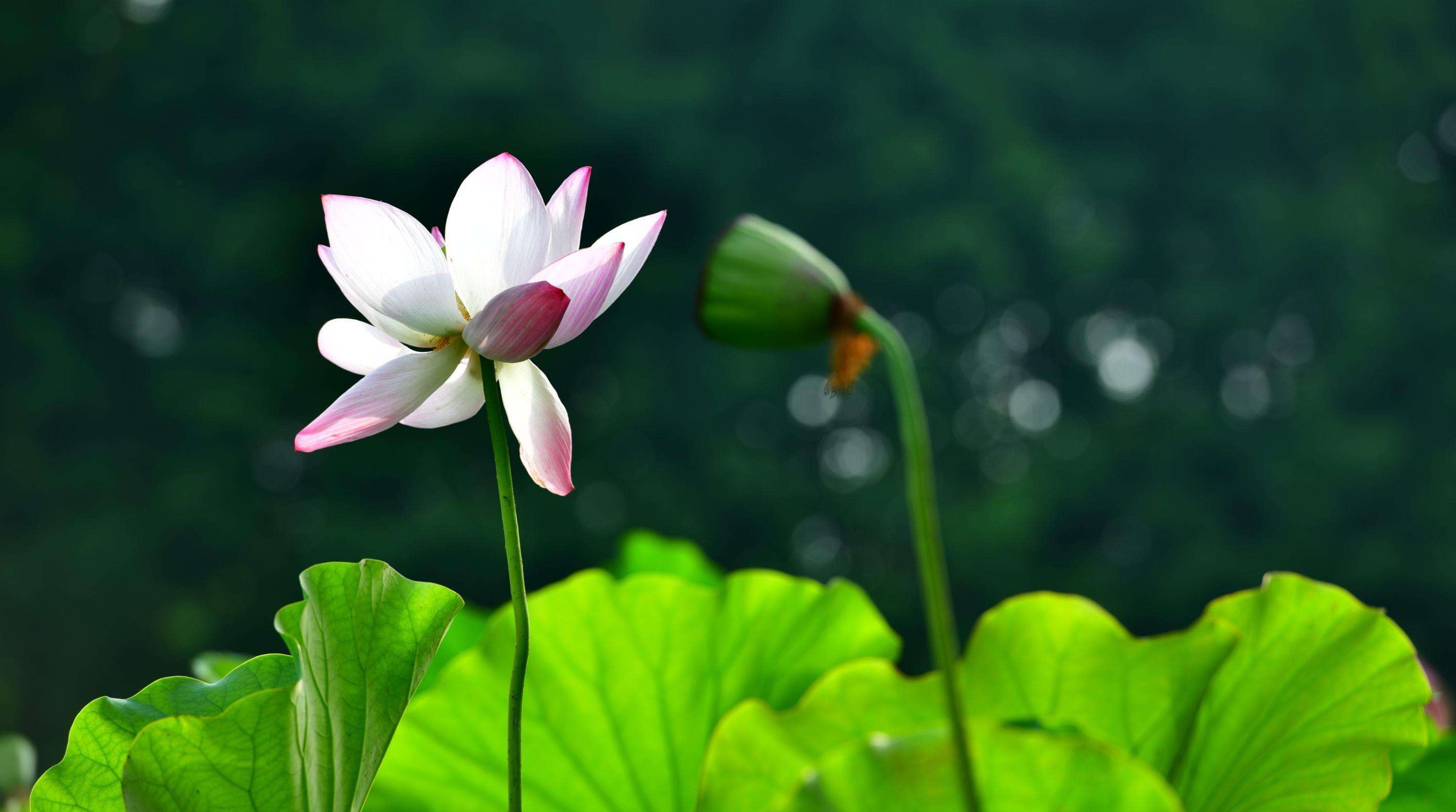 繁华尽处是安然