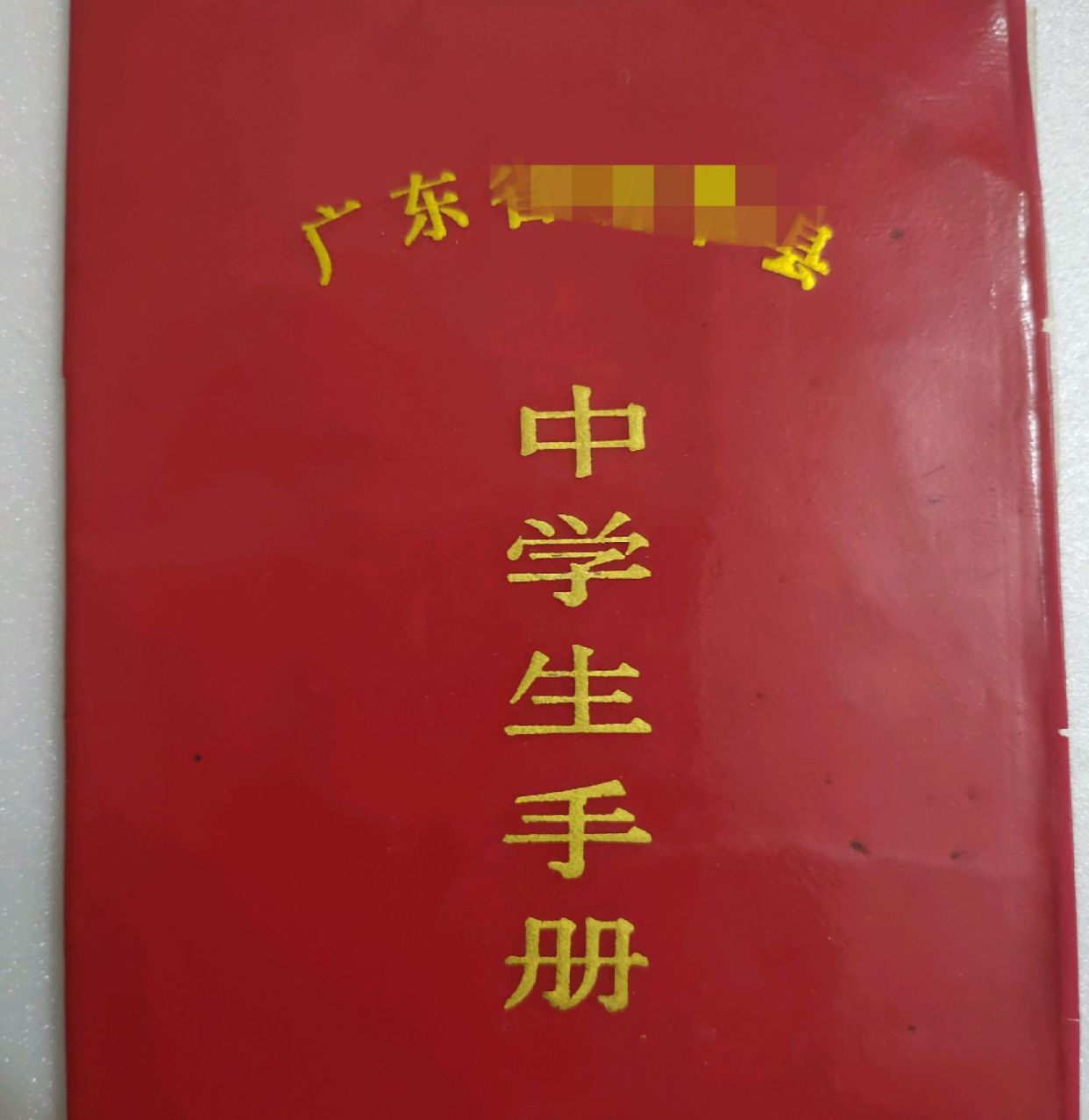 有多少人还记得这本小册子《家庭报告书》