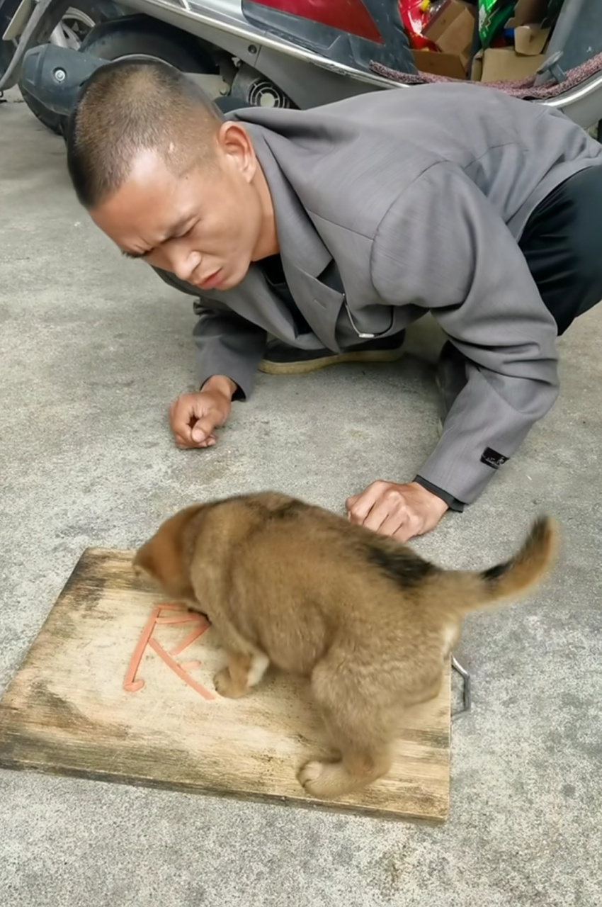 这位大哥眼睁睁的看着"良心"是怎么被狗给吃干净的