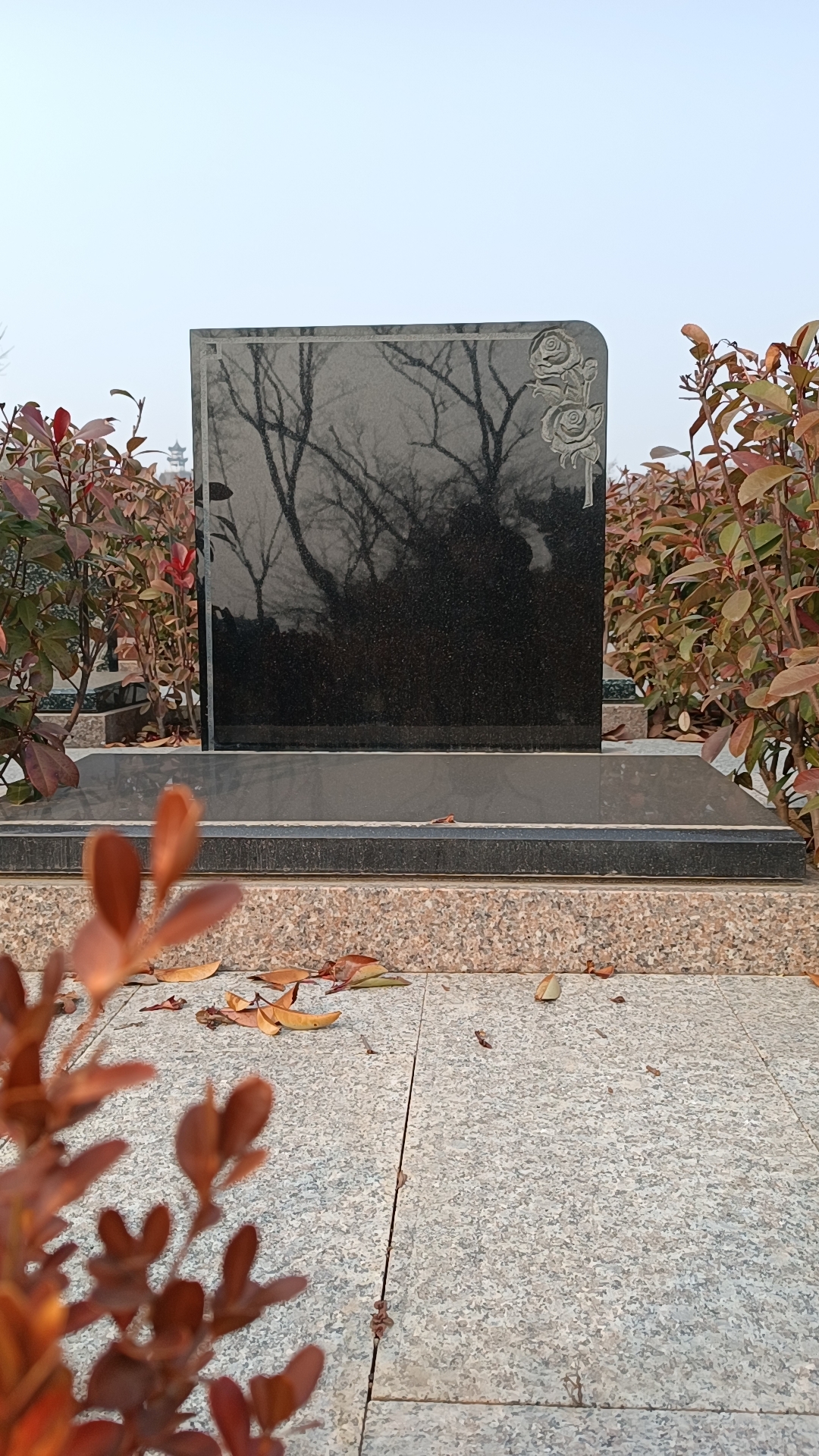 枣庄公墓网‖峄城莲花山公墓地址