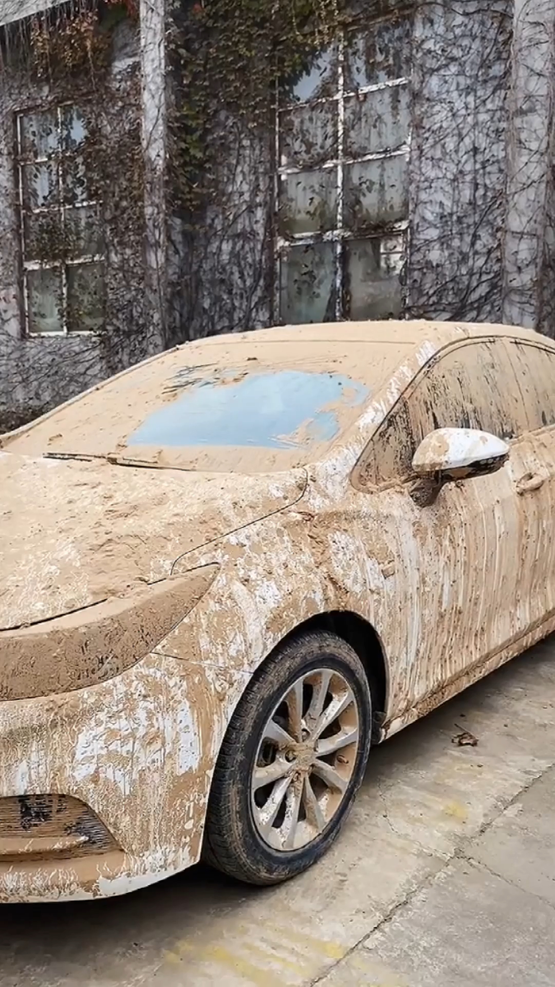 有史以来见过最脏的车,这是怎么开的呢?