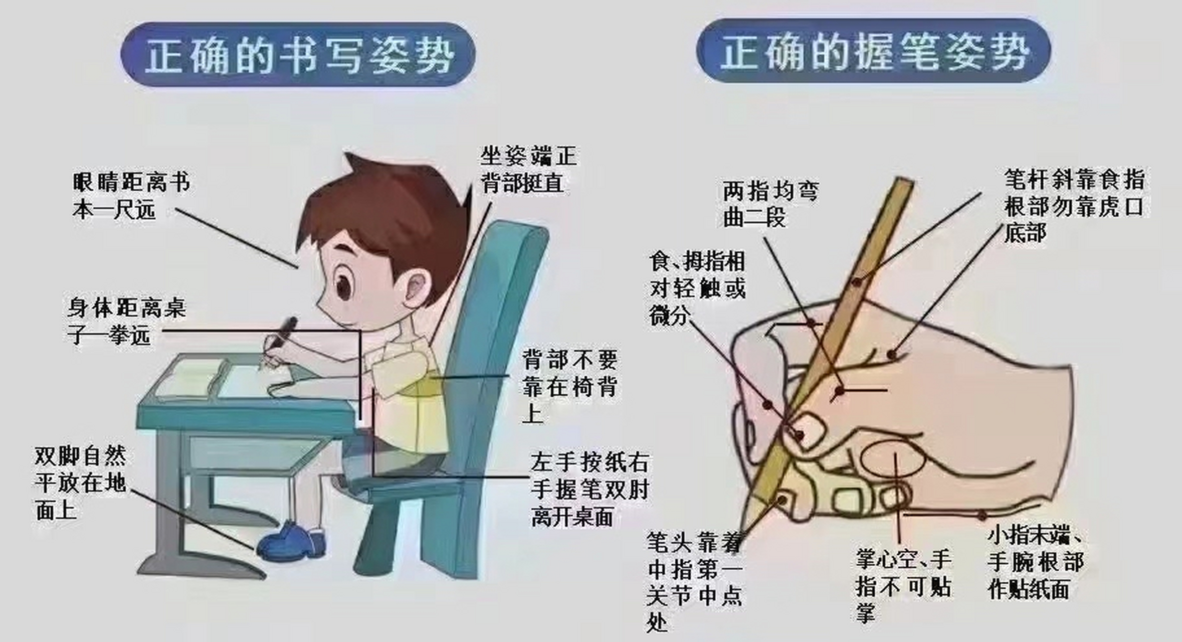 大多数近视是由于不良的看书,写字姿势而造成,正确的坐姿让眼睛对书本
