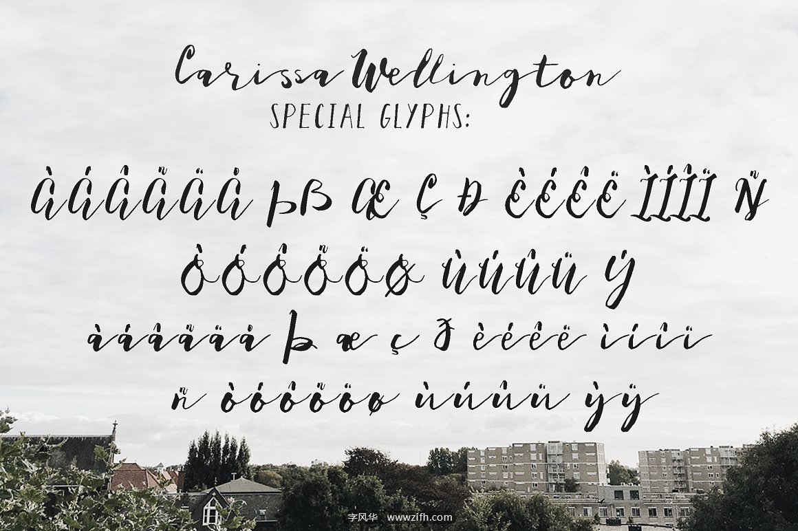 Carissa Wellington Script-7.jpg