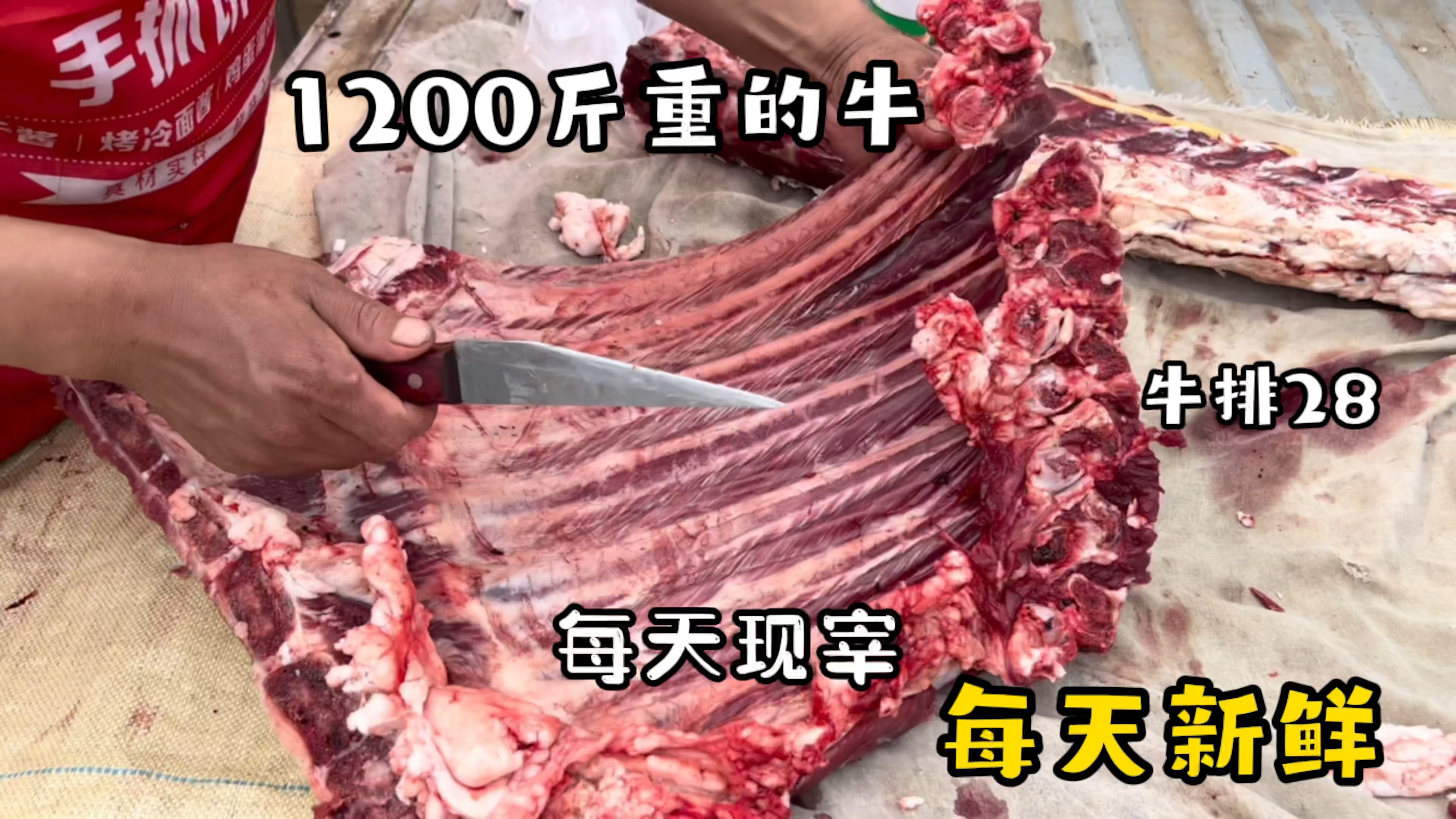 山东小伙专业卖牛肉,带骨牛排28一斤,现宰现卖,1200斤不剩货