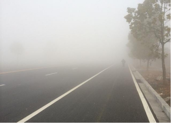 雨雾天气如何行车 这份锦囊拿走不谢