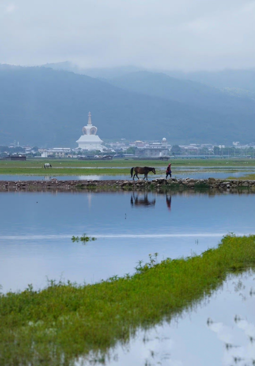 温柔了你的夏日时光～ 香格里拉纳帕海,好美啊!仙境一般!