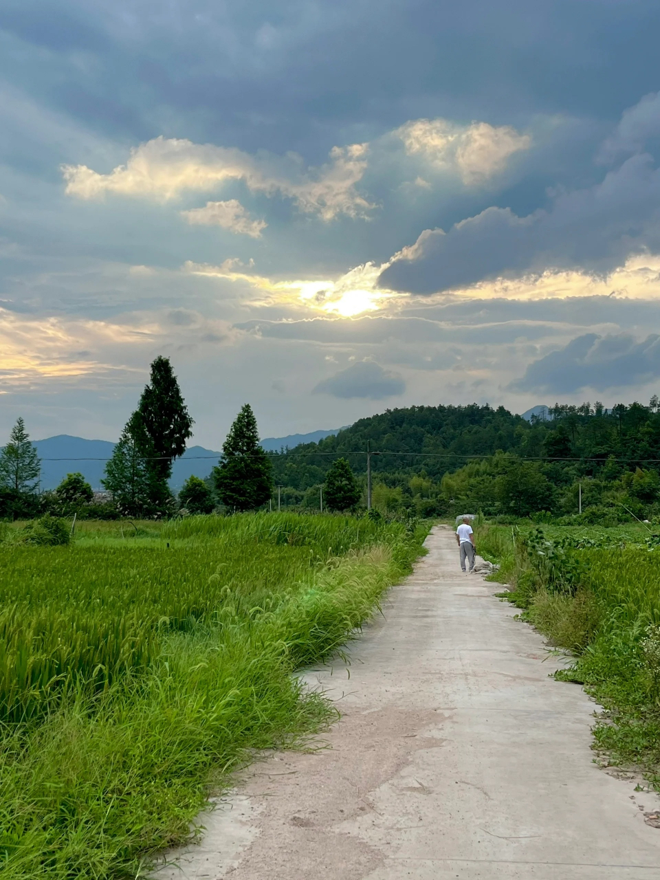 农村自建房,夏天傍晚的家92  家里每天的夕阳都很美很治愈 总算记得