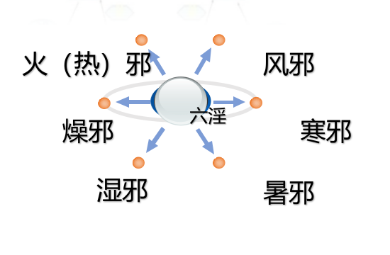 中醫理論——氣血津液學說