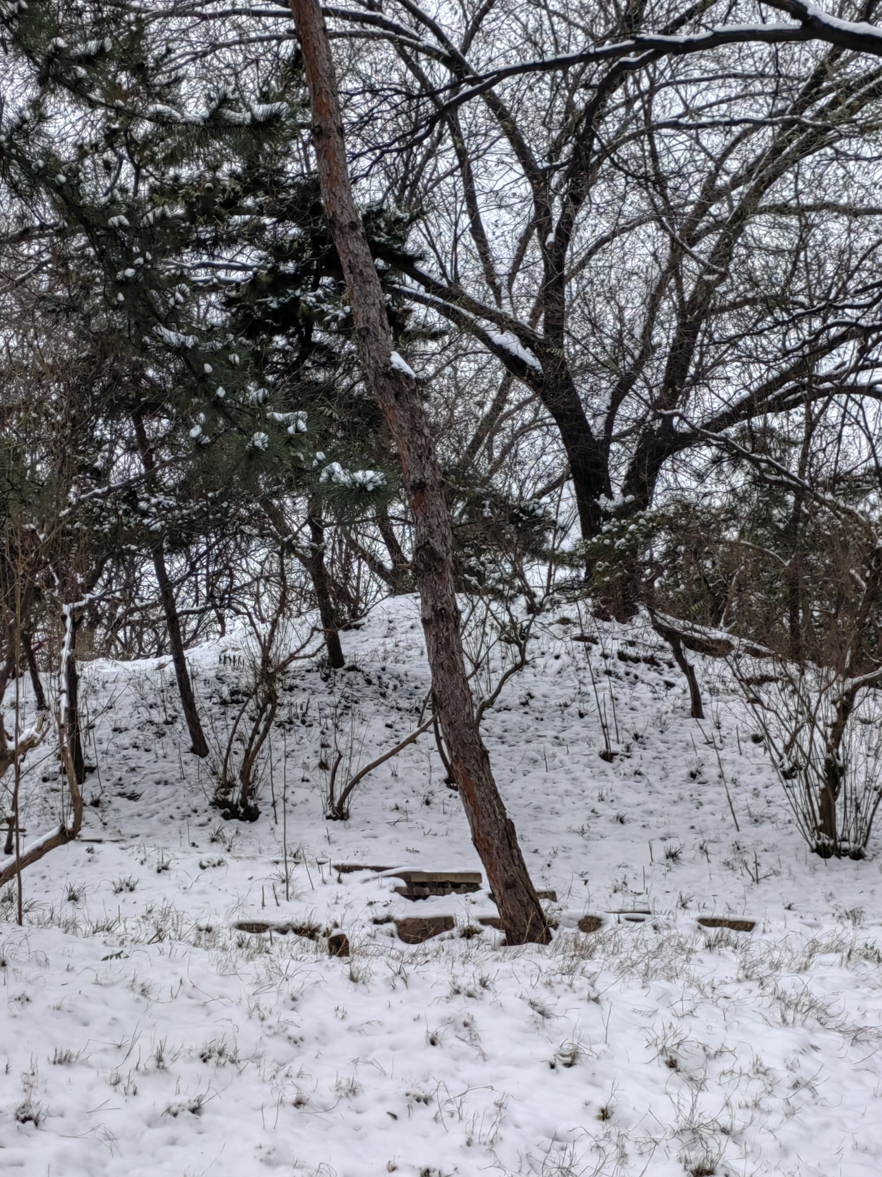 凌晨2:35分,被暴雪橙色预警的短信通知吵醒,看了看窗外,雪还没有