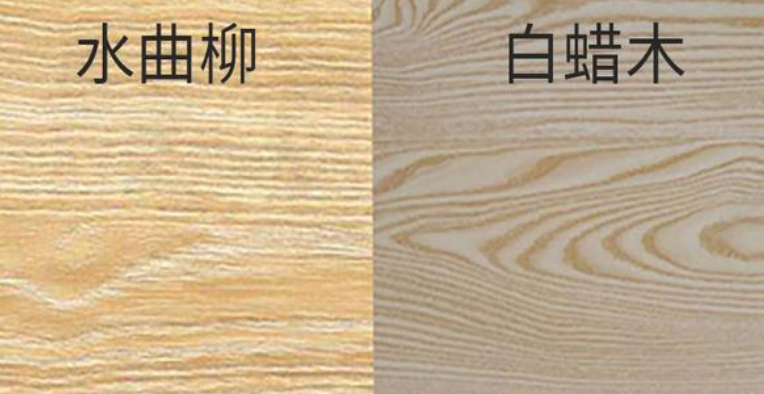 水曲柳和白蜡木区别