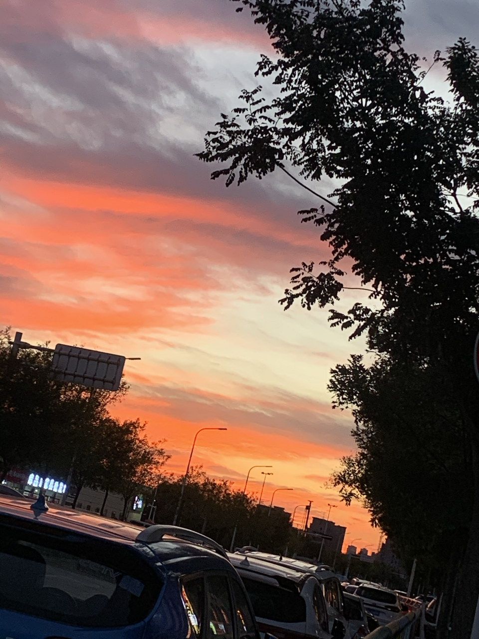 郑州的晚霞很美.