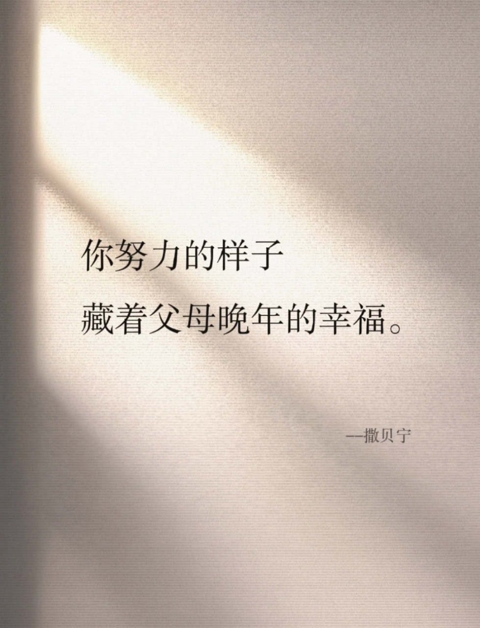 撒贝宁的经典语录,句句戳心