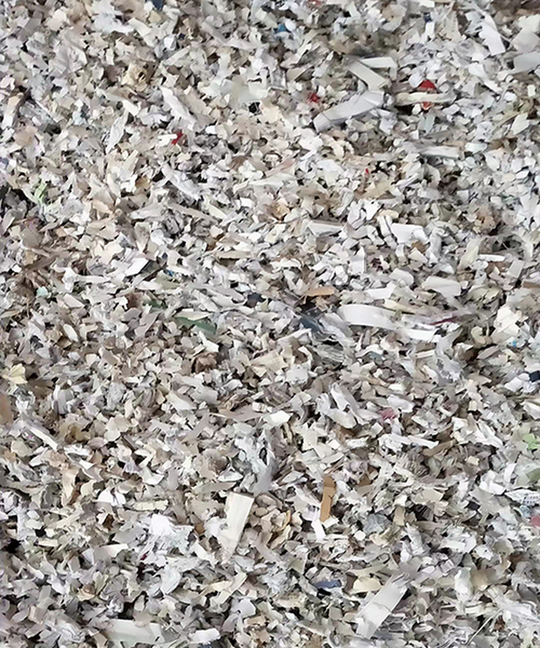 批量紙質文件銷毀多少錢（文件銷毀的費用大概是多少）