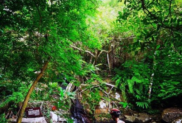 呀諾達雨林文化區主要由雨林谷,夢幻谷,三道谷景區組成