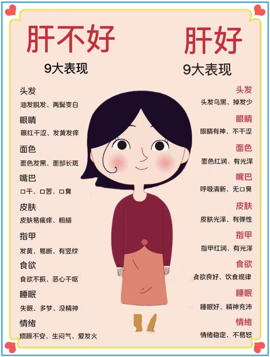 肝为什么不好的原因百科在线