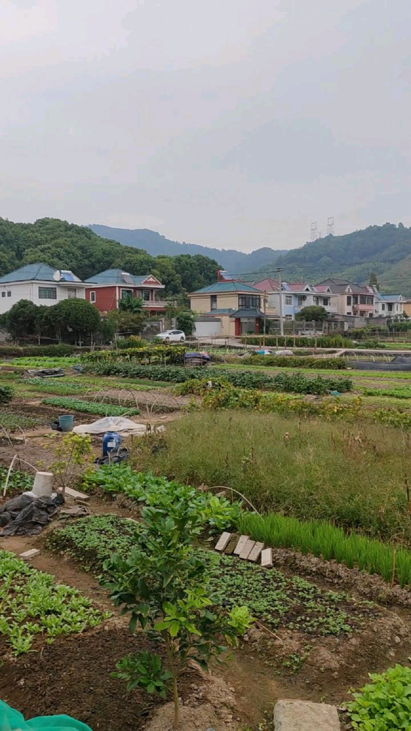 打卡美丽乡村慈湖村,这里有许多美丽的传说-度小视