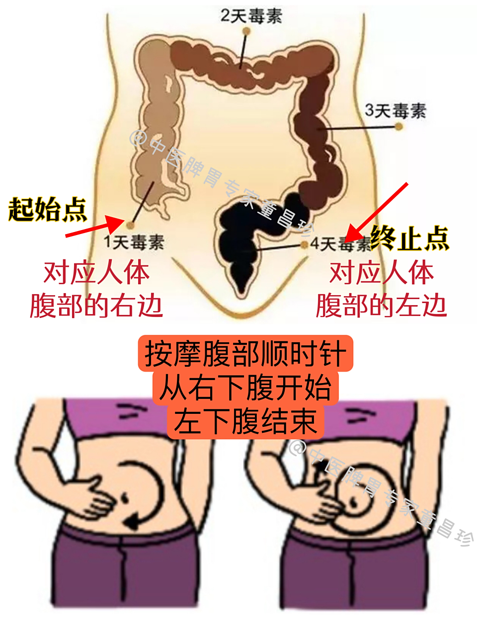 快来学习一下吧  中医讲脾喜揉肚子,利于水谷精微的转化.