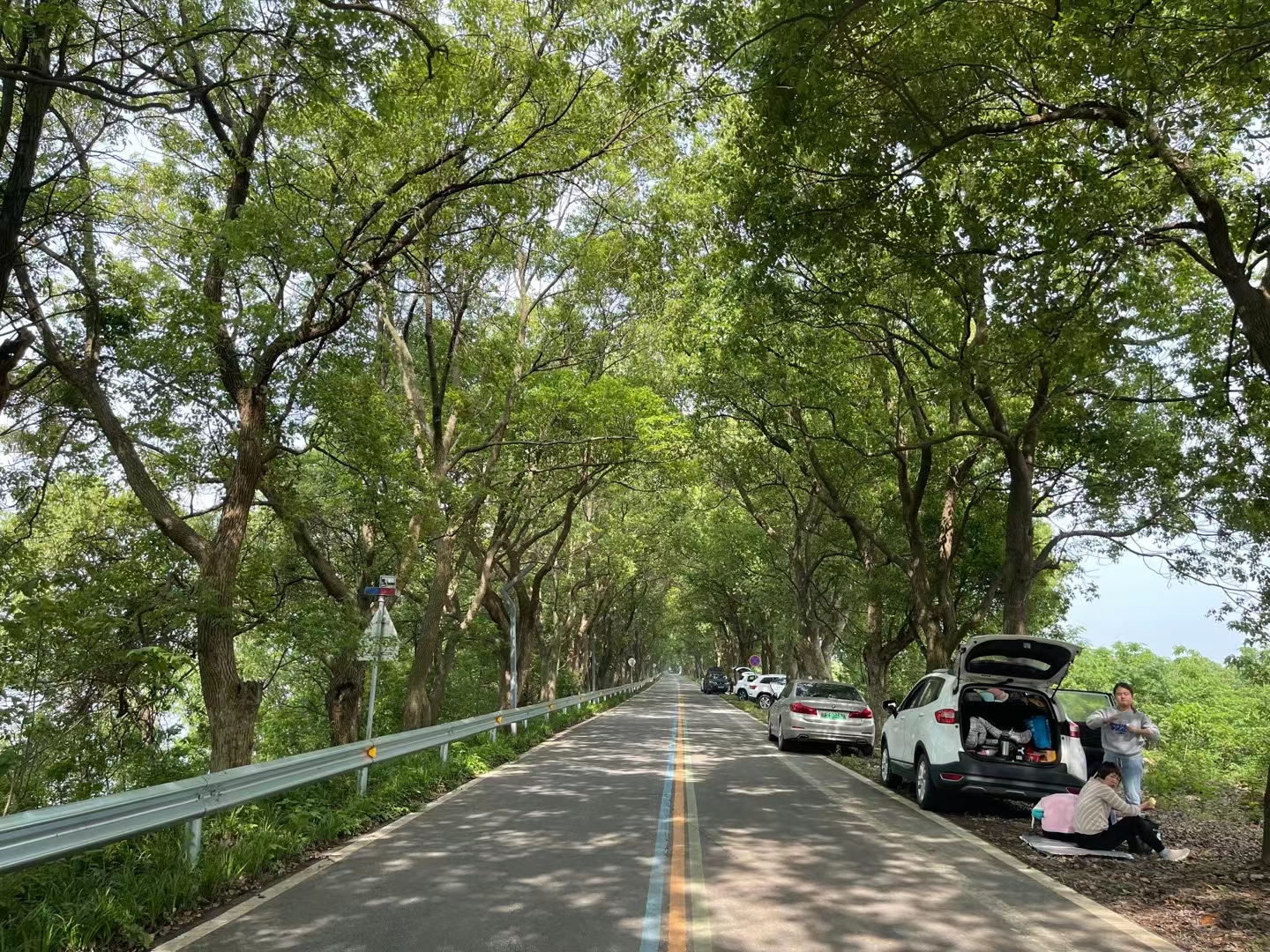 南昌五星垦殖场,浩渺鄱湖,乡村田园,生态旅游,适合休闲旅游